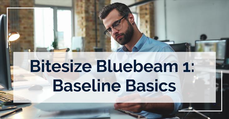 Bitesize Bluebeam Baseline Basics
